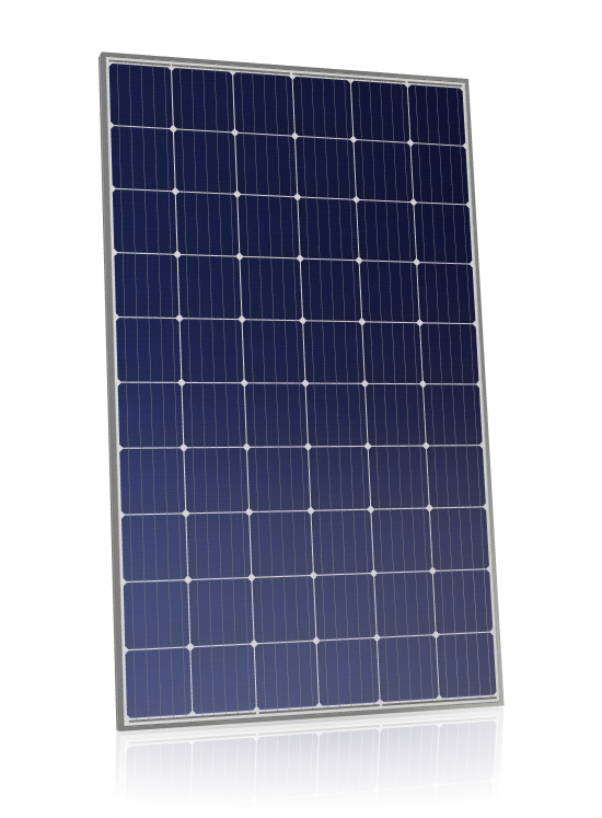 Canadian Solar CS6K-MS 300w